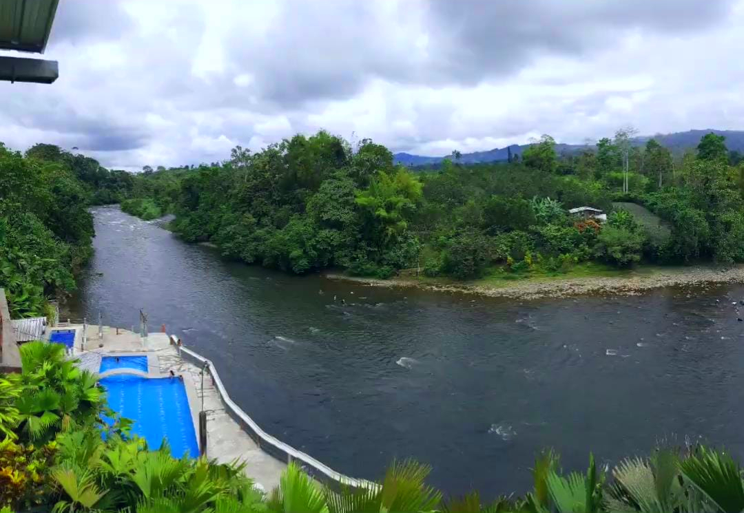 Imagen de WhatsApp 2024-12-13 a las 13.35.04_65356422