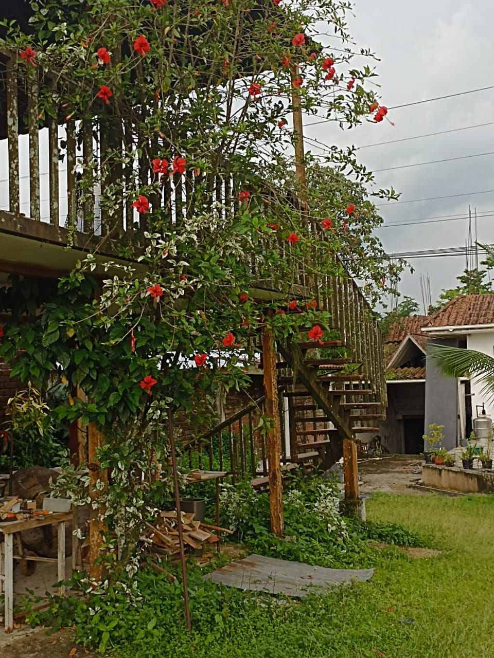 WhatsApp Image 2025-06-13 at 10.23.02 AM