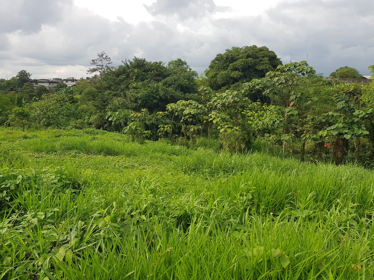 WhatsApp Image 2025-06-13 at 10.39.23 AM