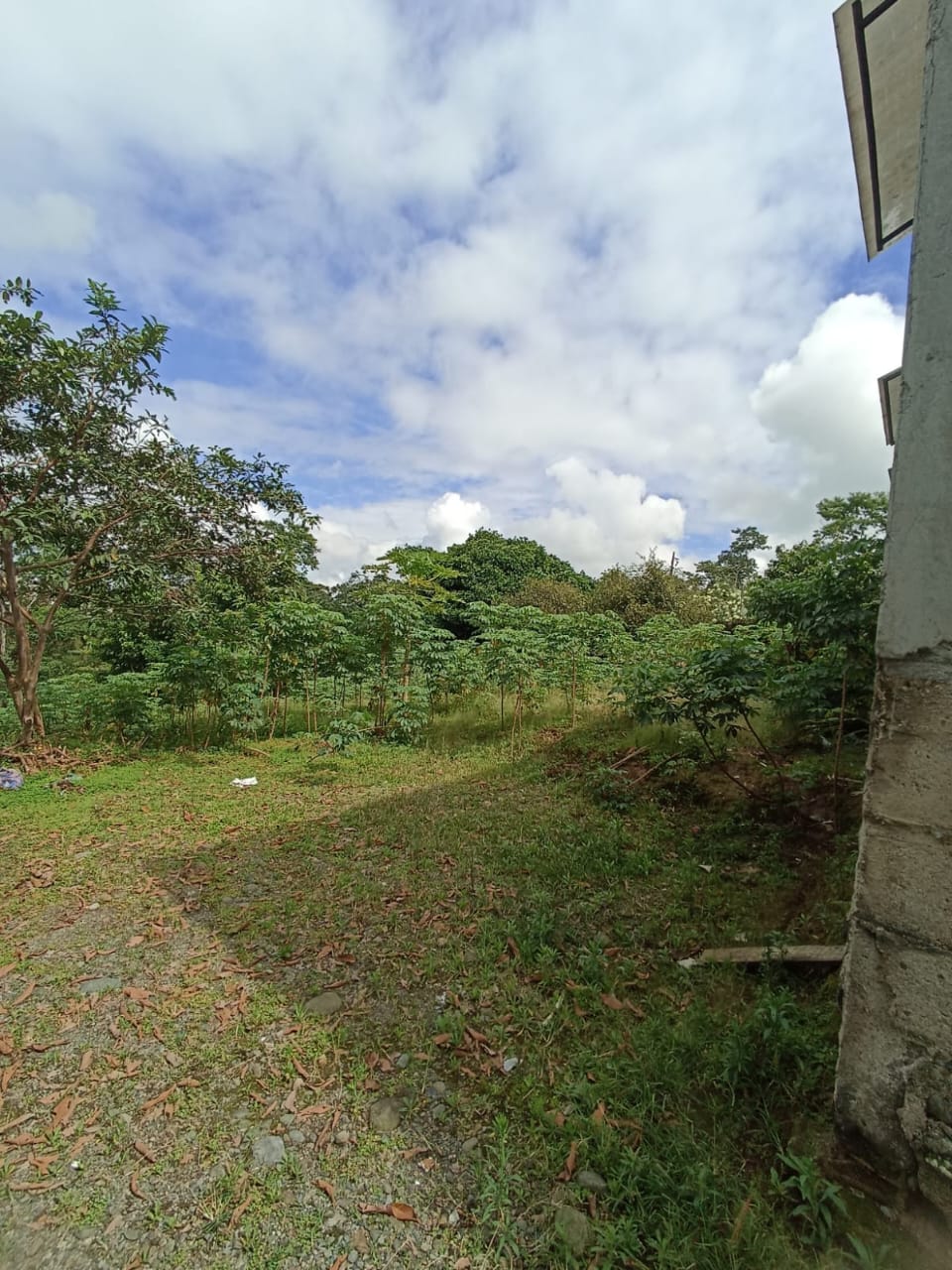 WhatsApp Image 2025-06-13 at 9.43.08 AM